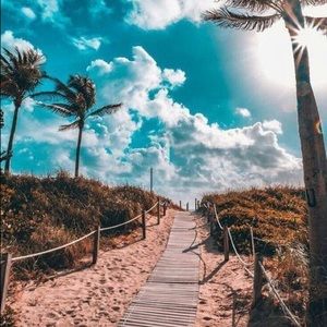 Meet your Posher, Riley